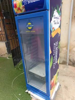 Snowsea 300L Tsaye Nuna Chiller