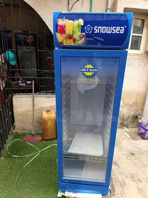 SNOWSEA LC 300L Chiller don Sanyin Shago