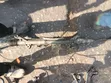 Mazda CX-9, Ford Edge, Lincoln MKX Power Steering Rack - 5