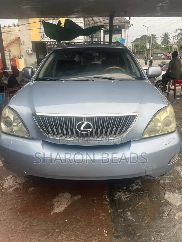 Lexus RX 330 2006 Blue - 1