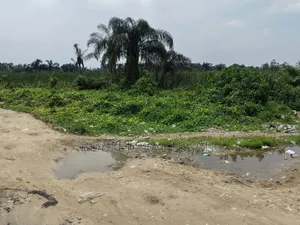 Acre 5 na Filaye don Siyarwa, Alasia, Ajah-Lekki, Legas