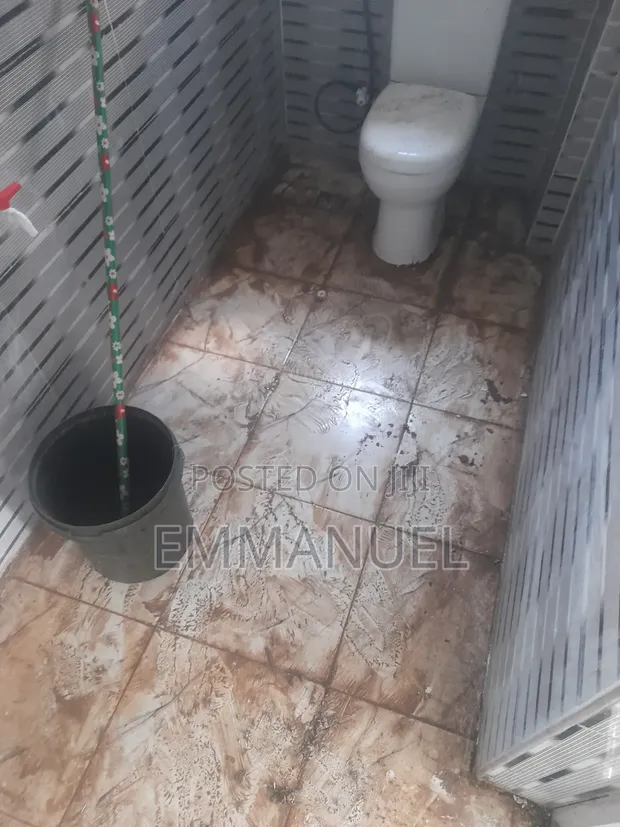 SaintEmmaco Cleaning Services - Asaba - 1