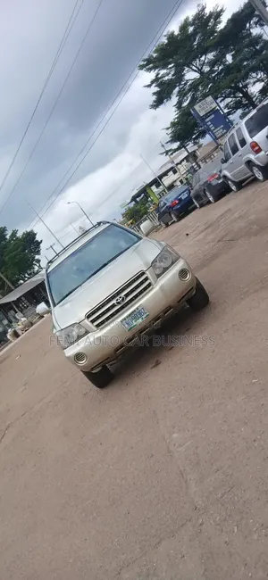 Toyota Highlander 2003 Zinariya