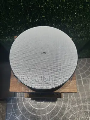 30W Passive 6.5-inch Ceiling Speaker