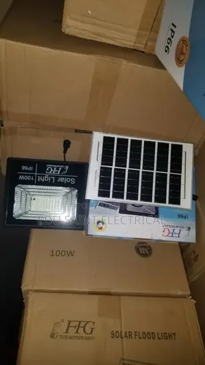 FFG 100W Flood Light