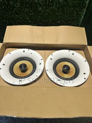 2-in-1 Wi-Fi & Bluetooth Ceiling Speaker