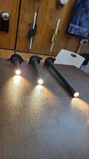 Modern Minimalist Black LED Ceiling Spotlight