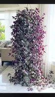 Hanging Plants for Beautifying Spaces - 2