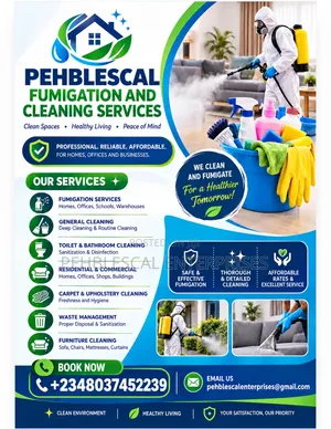 Professional Cleaning Services