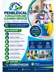 Professional Cleaning Services - 1