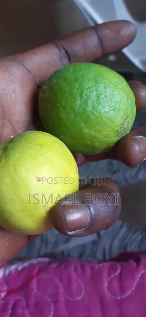 Yareeman Warji Lemons