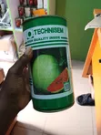 Watermelon Seeds - Kaolack Variety (Technisem) - 1