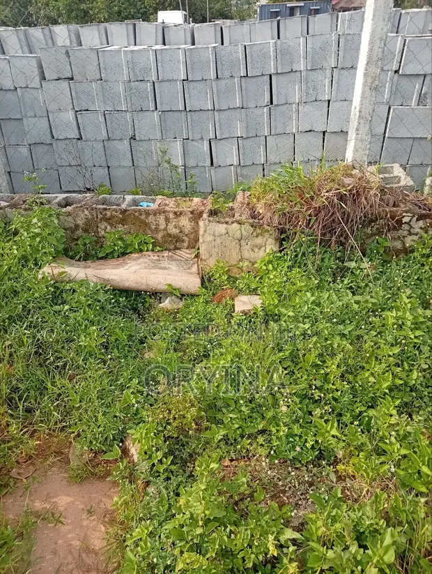 Dabaruwar Soso na Siminti - 1