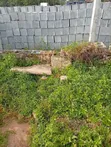 Dabaruwar Soso na Siminti - 1
