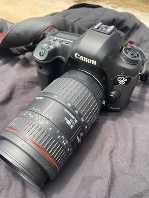 Canon EOS 5D Mark III DSLR + Sigma 70-300mm Macro Lens