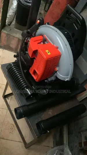 Petrol Backpack Leaf Blower Engine - Sabon Kaya