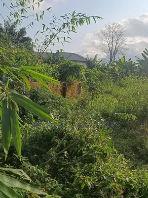 Filin Dadi don Siyawa: Afaha Etok, Kan Ring Road, Uyo (2180 sqm)