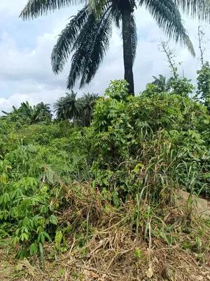 Filin 771sqm Don Siyawa a Nung Ette, Uyo