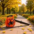 Handheld Gasoline Blower - 3