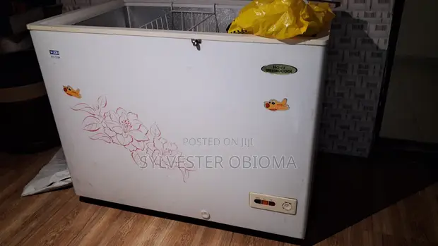 Haier Thermocool Deep Freezer - 1