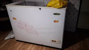 Haier Thermocool Deep Freezer
