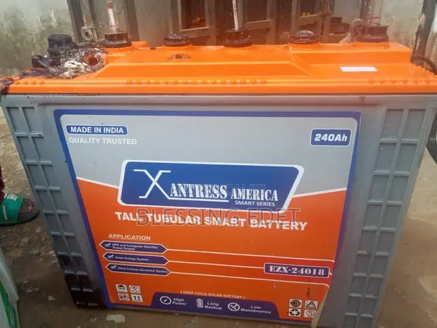 Xantrex 240Ah & Green Capital 230Ah Inverter Batteries (Used) - 1