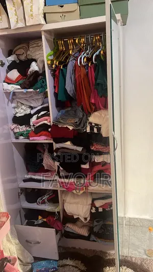 Home Interiors Wardrobe with Mirror