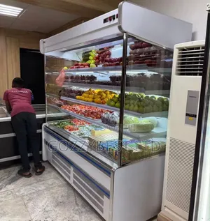Gozzybest Vegetable Chiller - Brand New