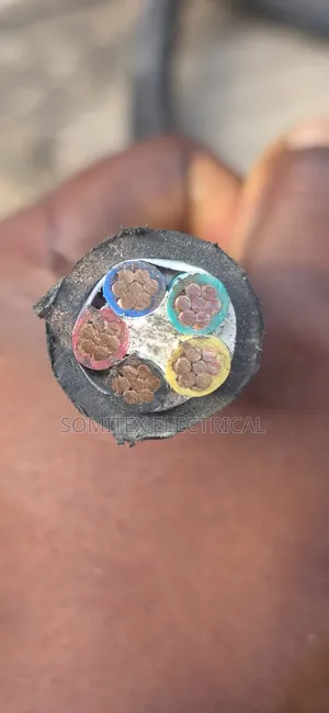 Nigerchin 25mm x 5 Core Igwalon Wuta na PVC