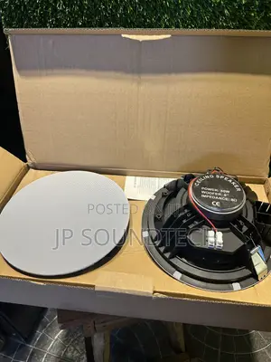 2-in-1 Bluetooth Ceiling Speaker with Remote