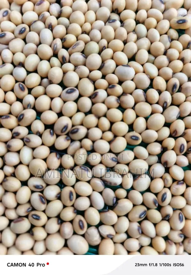 CEO Mustahpa Grains - Buhu 100kg - 1