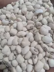 CEO Mustahpa Grains - Buhu 100kg - 2