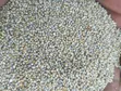 CEO Mustahpa Grains - Buhu 100kg - 3