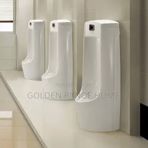 Executive England Standalone Ceramic Sensor Urinal