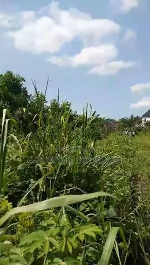 100x100 Plot of Land for Sale, Egborode by Warri Sapele Road