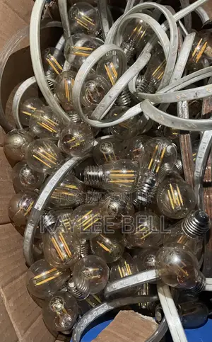 Hubbell Lighting Rope Light and Bulb (Used)
