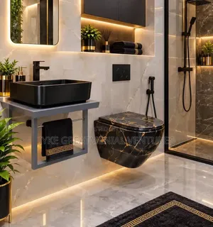 Conceal Wall Hung WC with Dual Flush