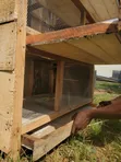 Chicken Cage - 3