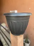 Extra Large Black Plastic Flower Pot - 2