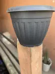 Extra Large Black Plastic Flower Pot - 3