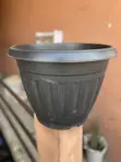 Extra Large Black Plastic Flower Pot - 4