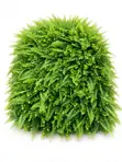 Better Homes & Gardens Fence/Wall Mat - Green - 5