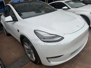 Tesla Model X 2022 Fari