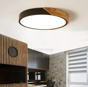 Colourful Nordic Wood LED Ceiling Light