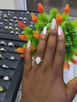 Royal Love Zoben Aure - 2