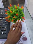 Royal Love Zoben Aure - 4
