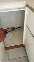 Sabis na Fumigation da Kawar da Cututtuka a Victoria Island - 3