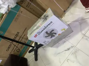 Binatone WF-1802 18-Inch Wall Fan