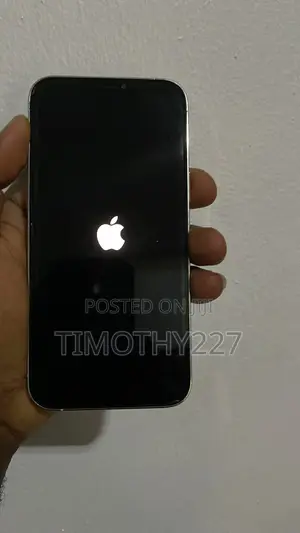 Apple iPhone 12 Pro Max 128GB Fari (Baya Ya Fasa)