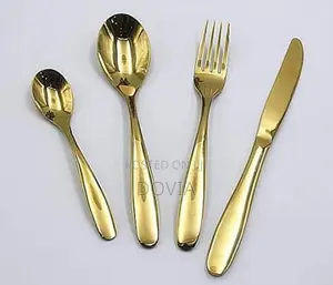 Premium 24-Piece Zinare Stainless Steel Kayan Ciye-ciye